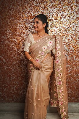 Chiku color pure Organza silk saree Chiku color pure Organza silk saree