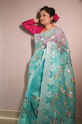 Deep sky blue pure Organza saree Deep sky blue pure Organza saree